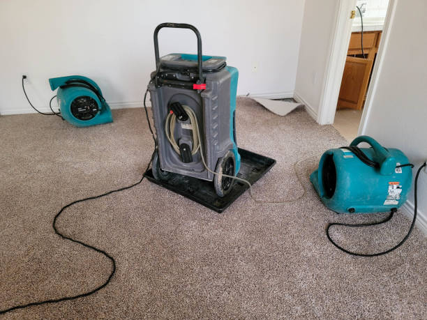 Trusted Minor, AL Water damage restoration Experts