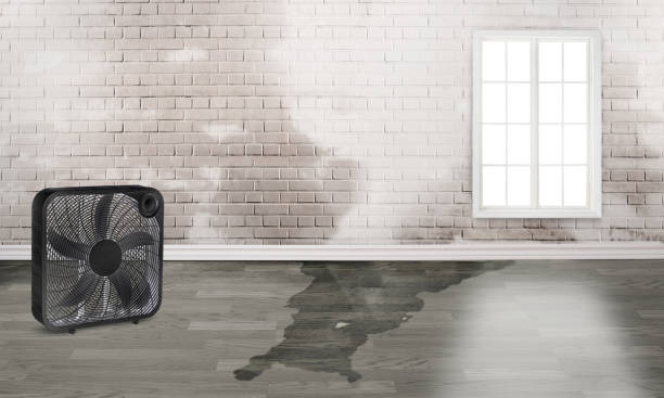  Minor, AL Water damage restoration Pros