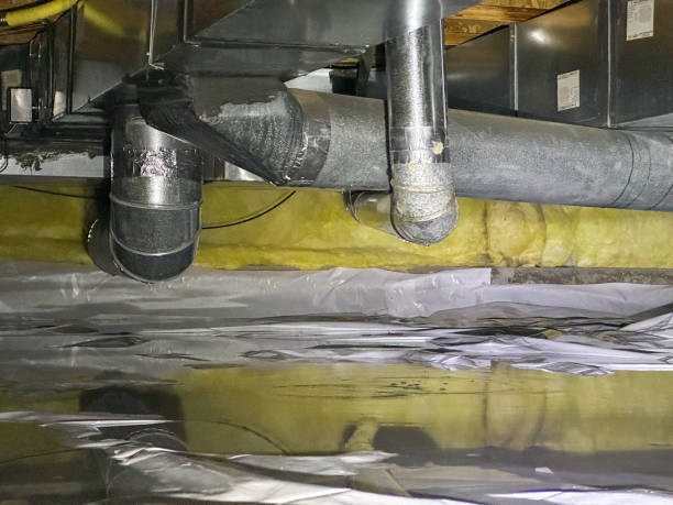 Best Water damage restoration near me  in Minor, AL