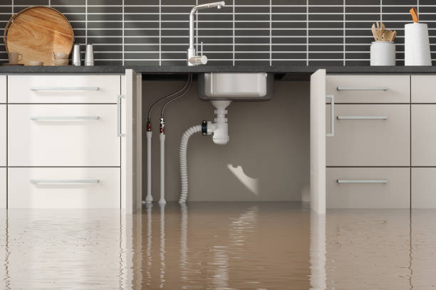 Best 24/7 water damage repair  in Minor, AL